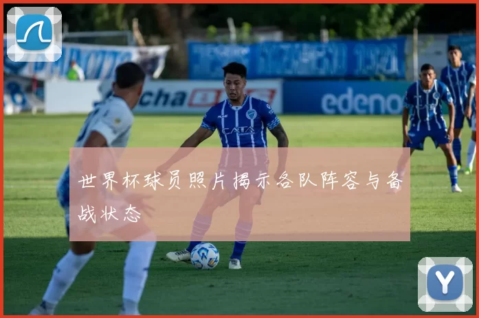 世界杯球员照片揭示各队阵容与备战状态