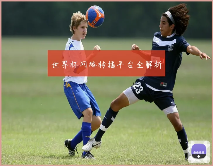 世界杯网络转播平台全解析