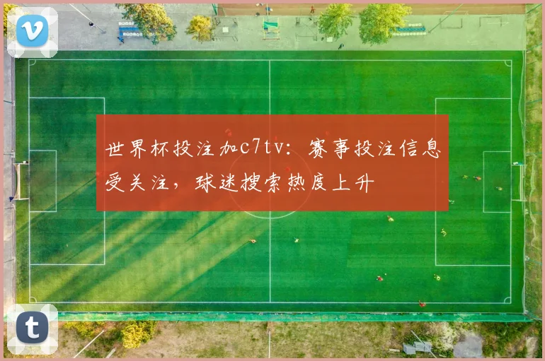 世界杯投注加c7tv：赛事投注信息受关注，球迷搜索热度上升