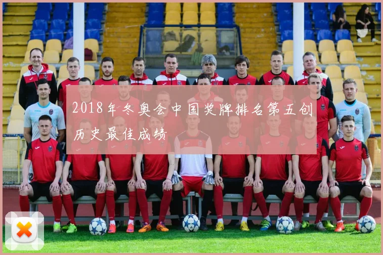 2018年冬奥会中国奖牌排名第五创历史最佳成绩