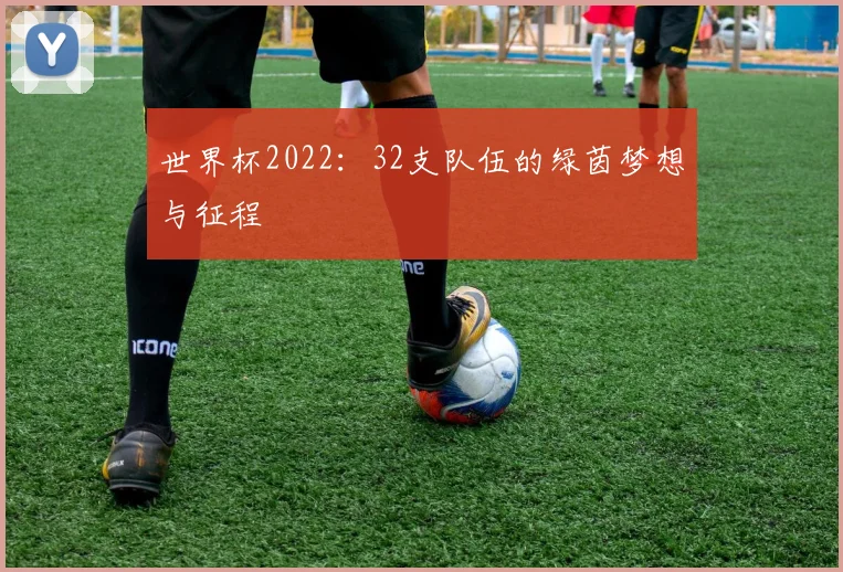 世界杯2022:32支队伍的绿茵梦想与征程