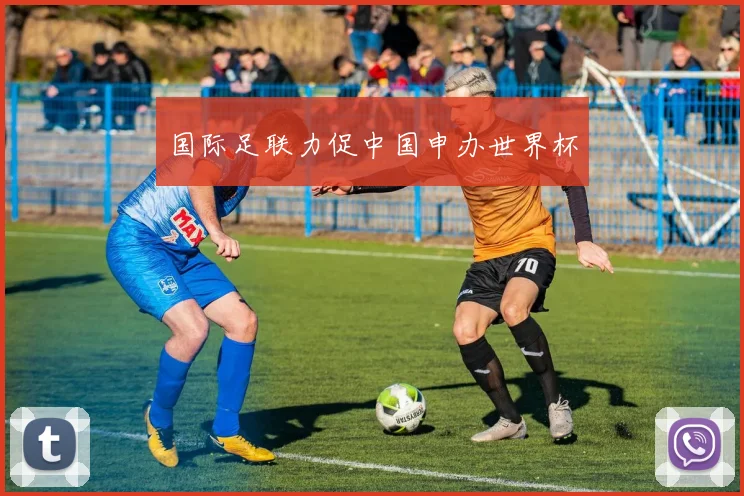 国际足联力促中国申办世界杯