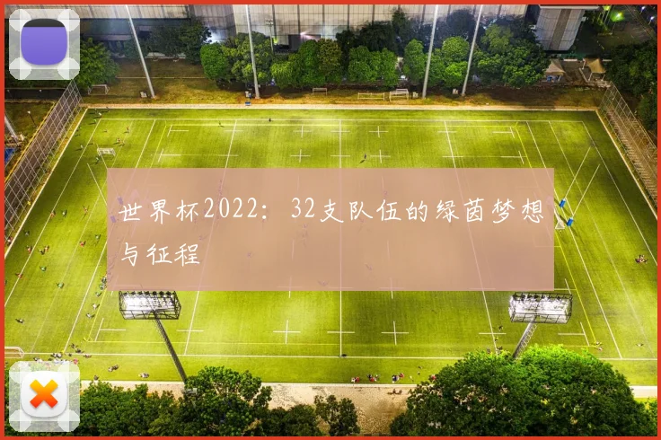 世界杯2022:32支队伍的绿茵梦想与征程
