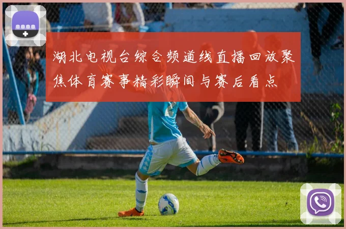 湖北电视台综合频道线直播回放聚焦体育赛事精彩瞬间与赛后看点