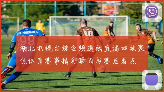 湖北电视台综合频道线直播回放聚焦体育赛事精彩瞬间与赛后看点