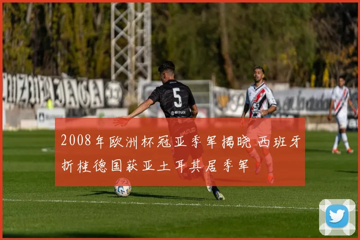 2008年欧洲杯冠亚季军揭晓 西班牙折桂德国获亚土耳其居季军